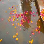 Vraj-Yatra-2014- (985)